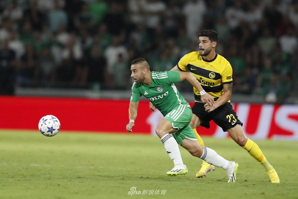 仅巩固了团 仅巩固了团